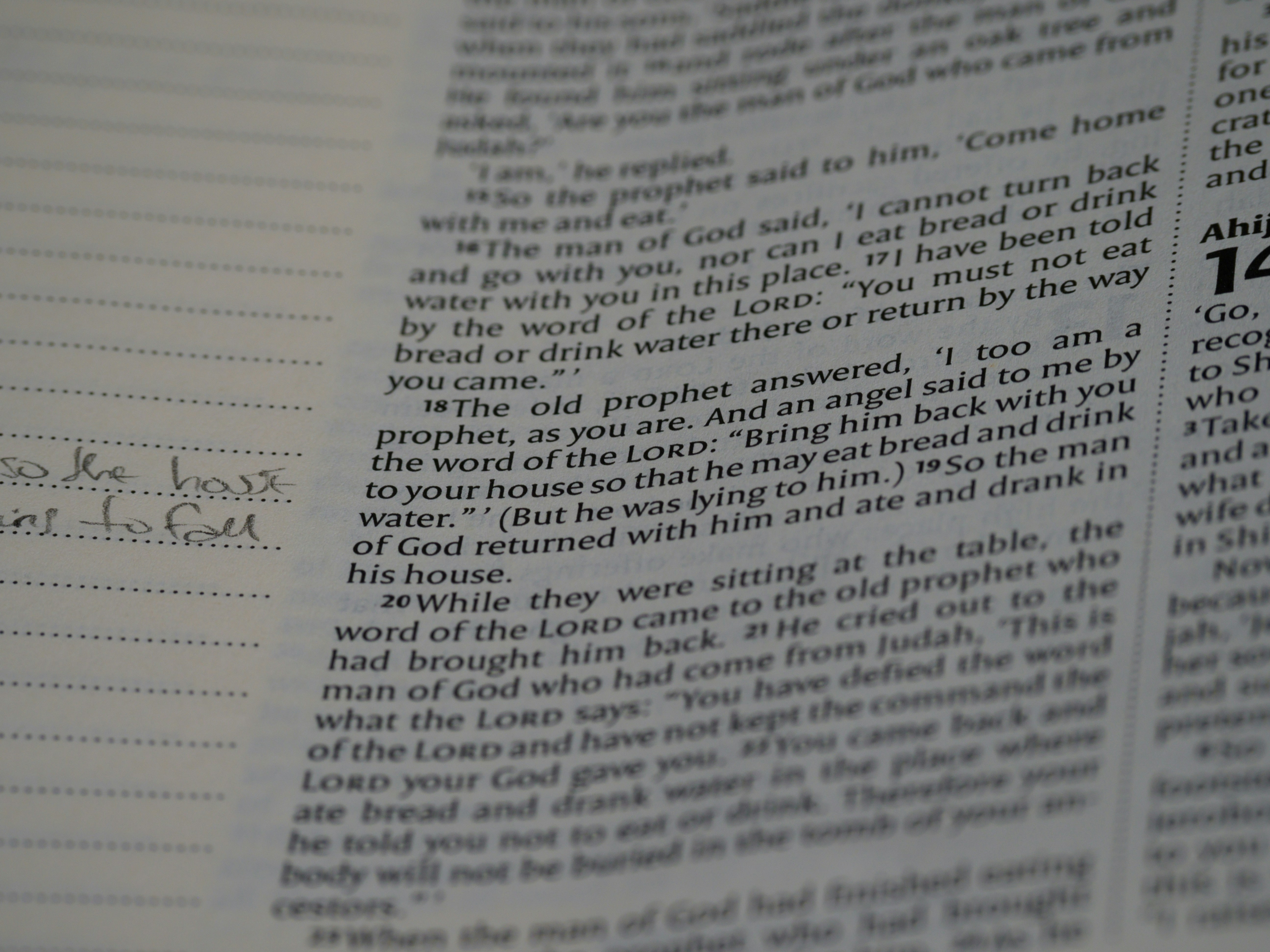 Photo by brett_jordan