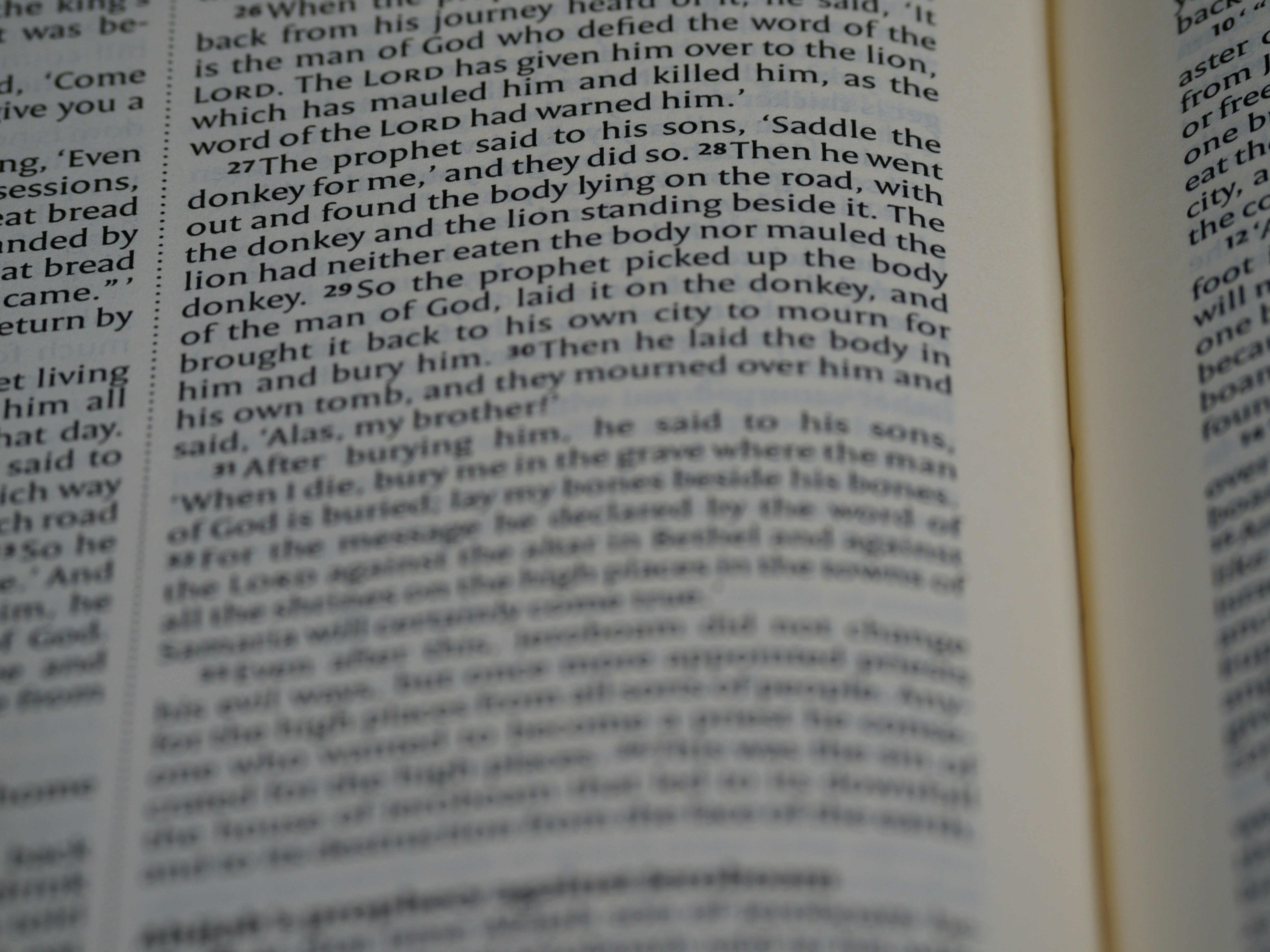 Photo by brett_jordan