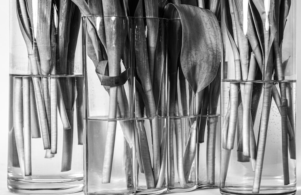 cucharas de acero inoxidable en recipiente de vidrio transparente