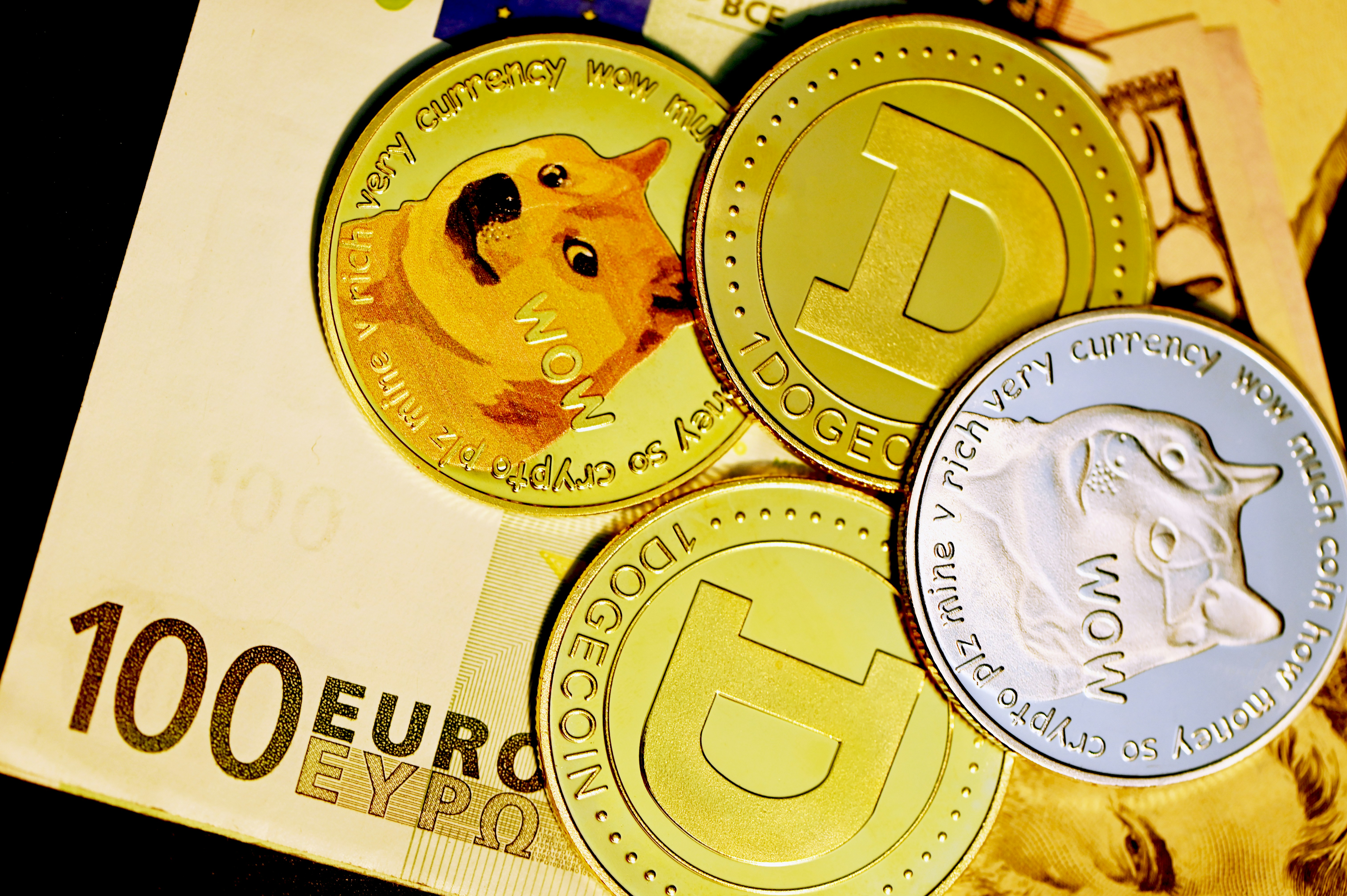 Dogecoins on top of a 100 Euro note.