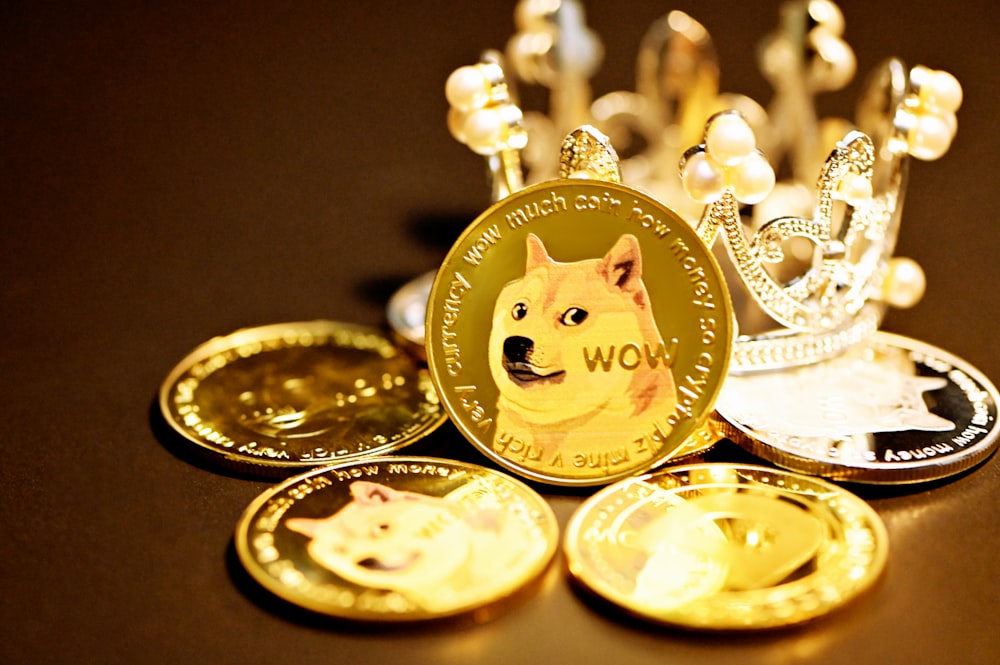 Goldene und weiße Katze auf runden Goldmünzen