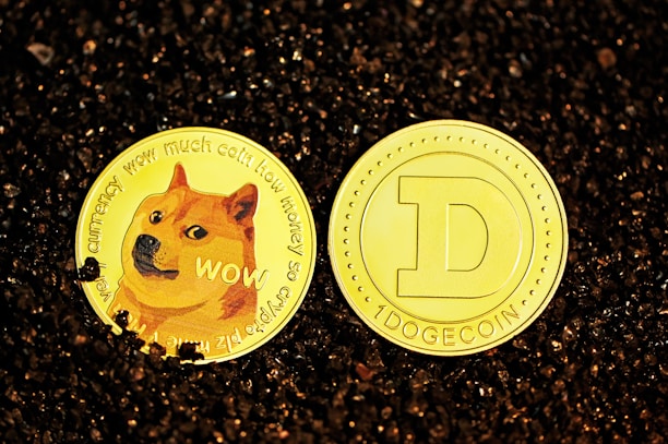 Two gold-colored coins placed on a bed of dark gravel. One coin features a popular meme dog with the word 'WOW' and humorous text around the border. The other coin displays a large 'D' symbol, labeled as '1 DOGECOIN'.