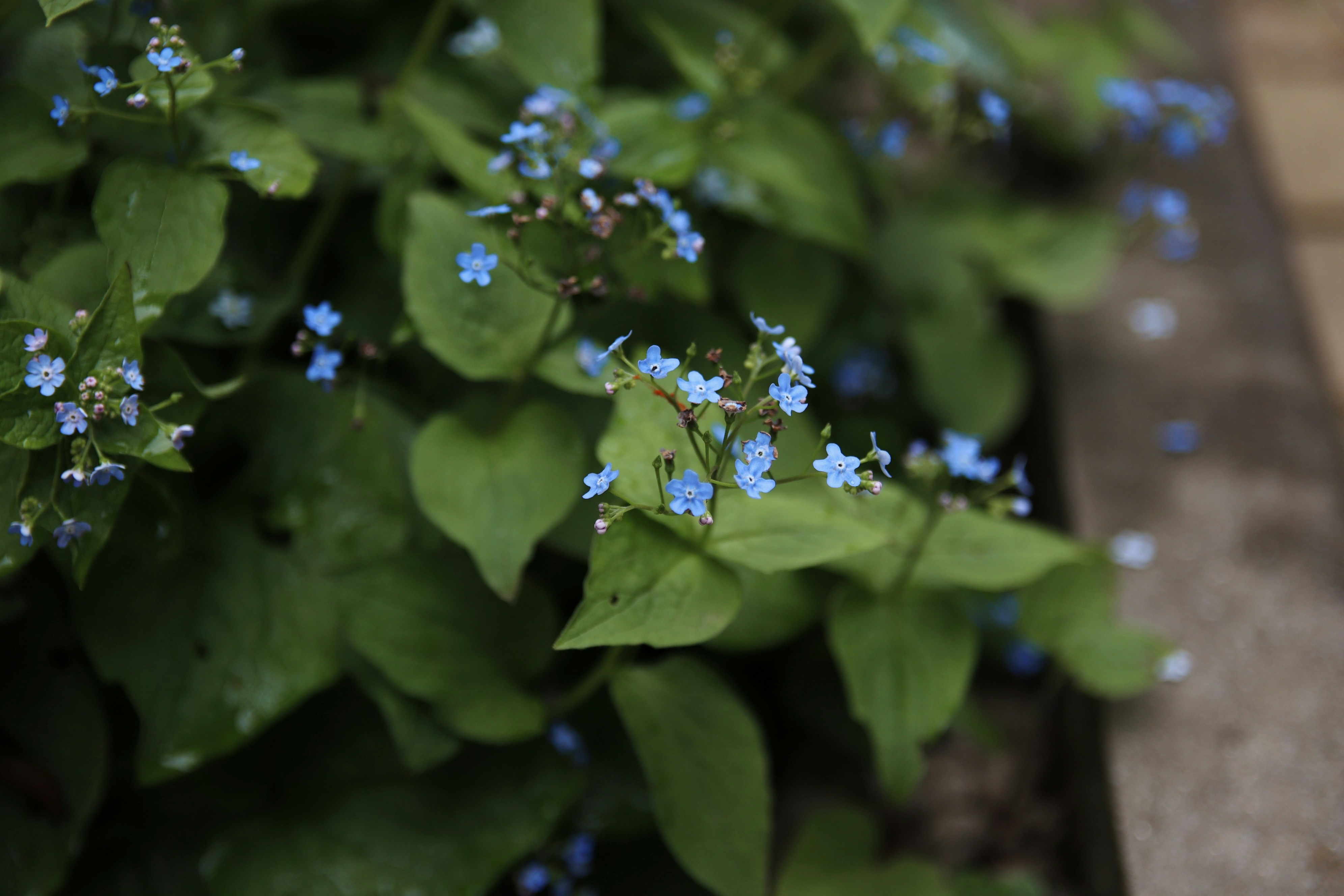 Photo by feeling_hope