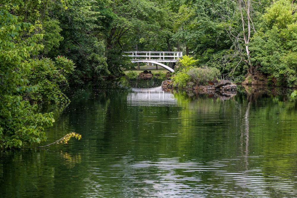 white wooden bridge over river