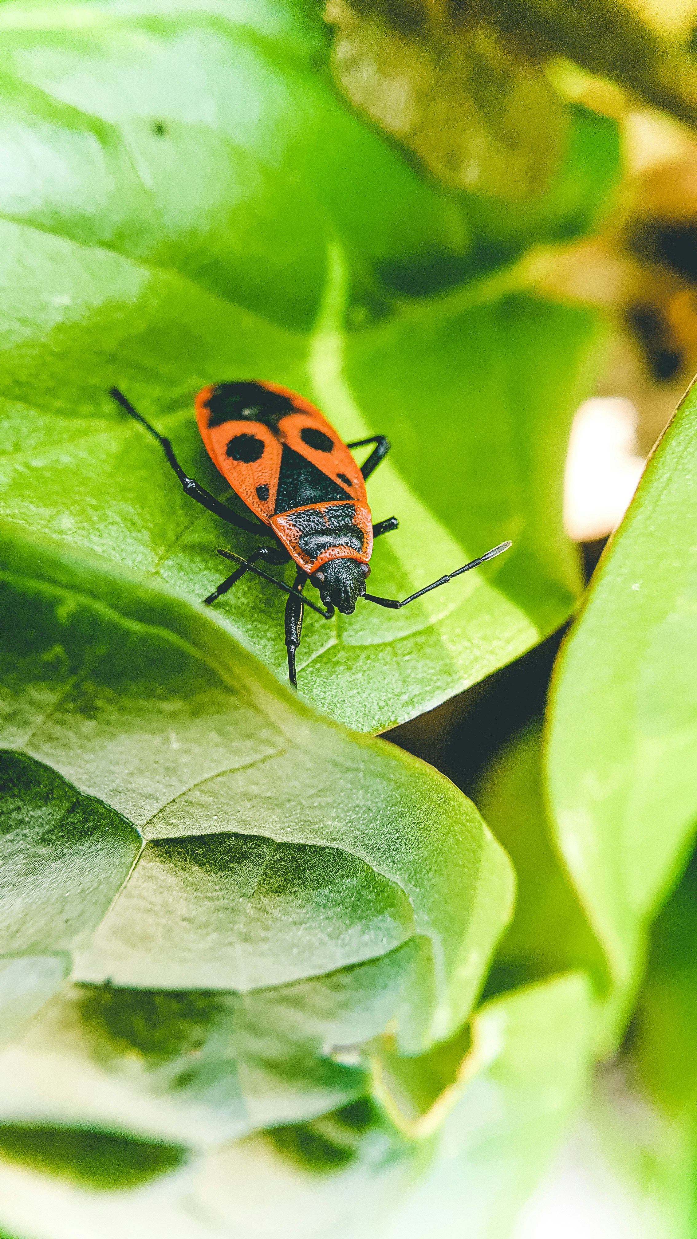 Photo by jaquestories