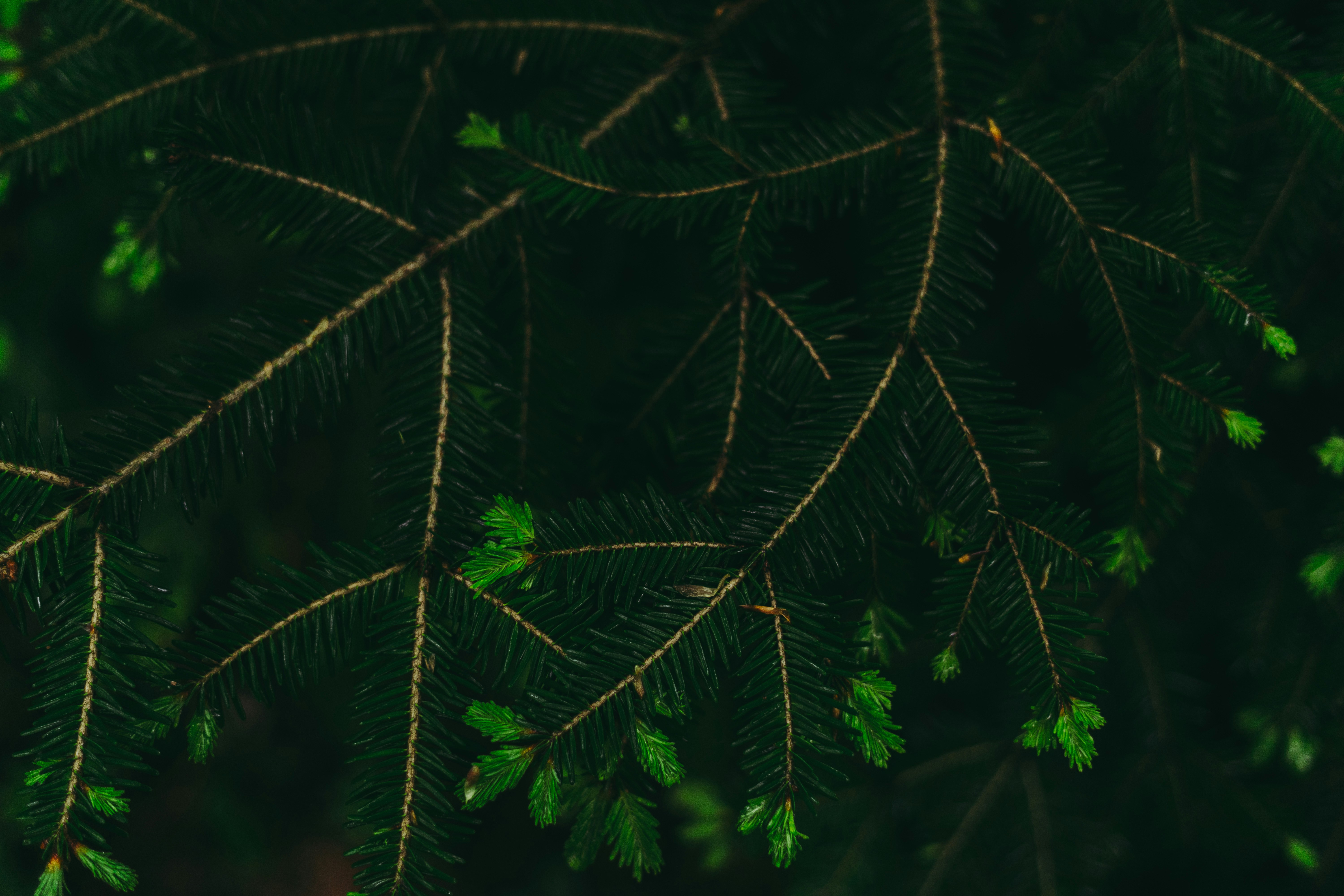 Photo by virussinside