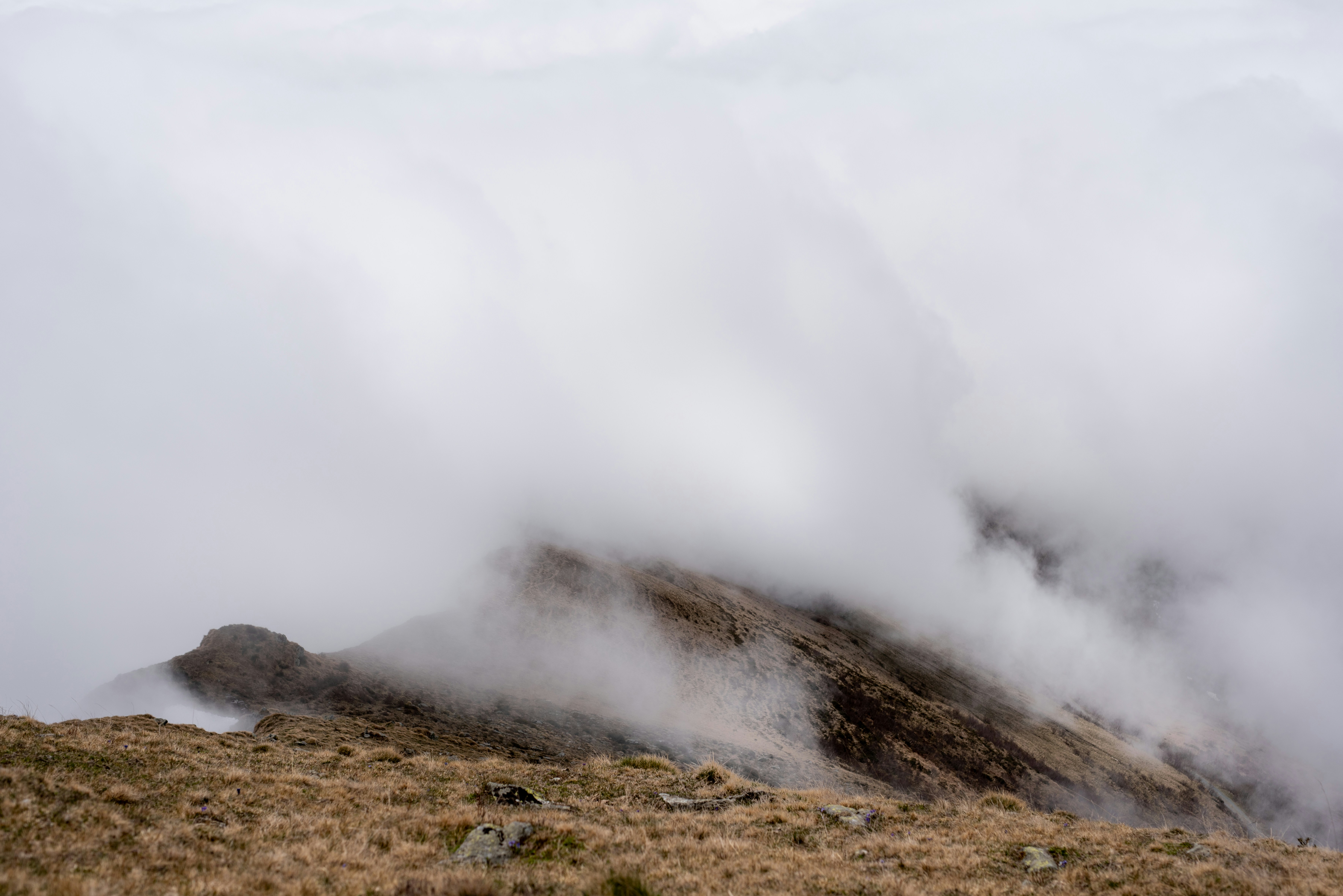 Photo by lauraadaiphoto