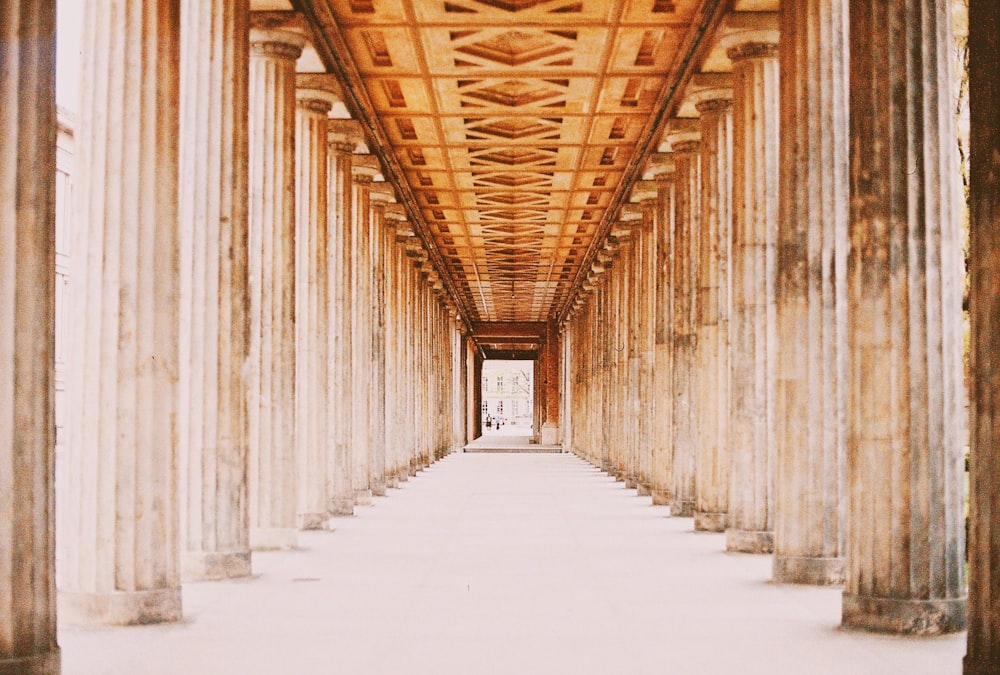 white and brown wooden hallway