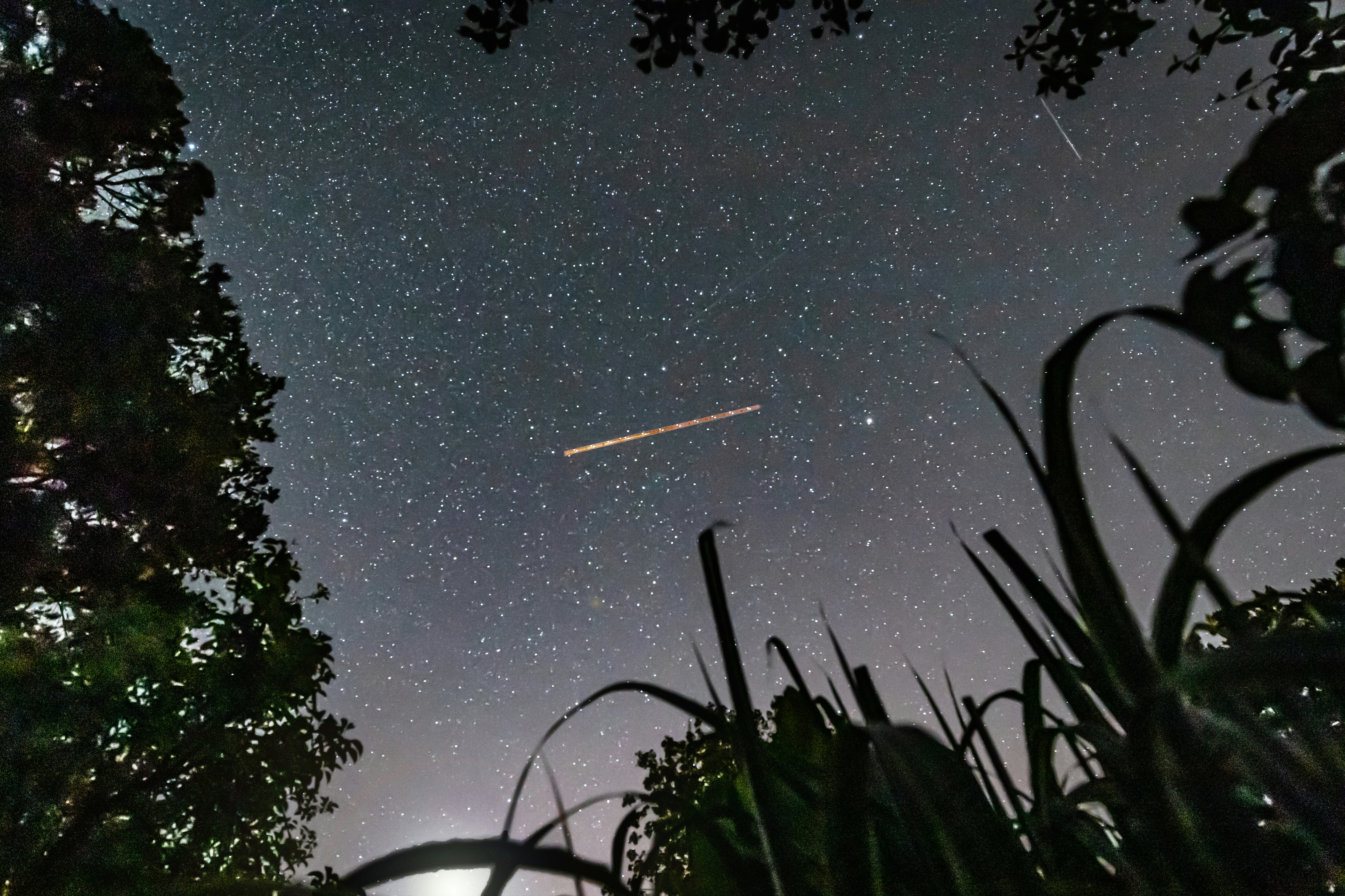 Photo by arizonanthony