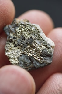 person holding black and gray stone