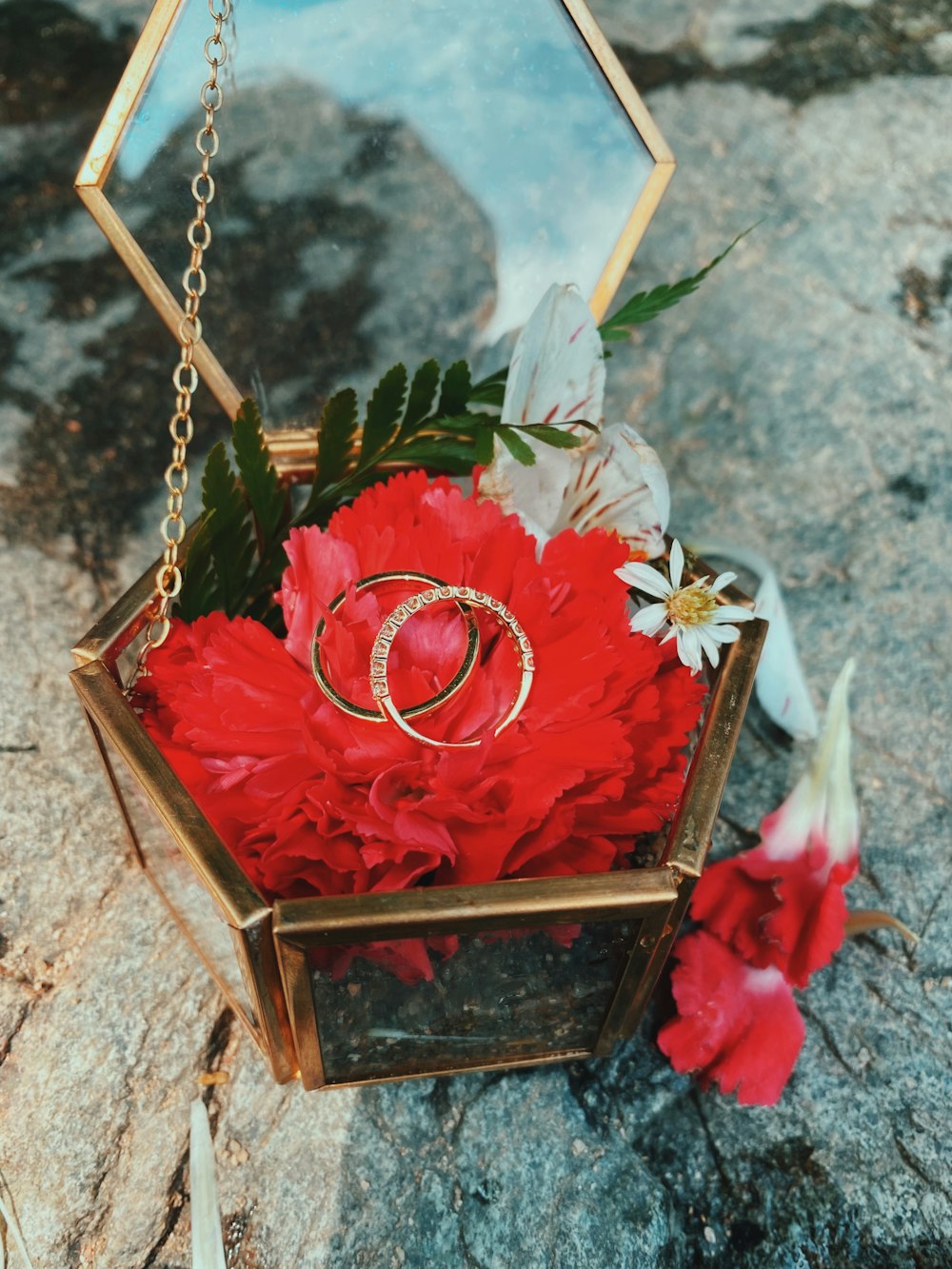 red rose in brown wooden box