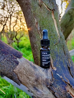 A small bottle of full spectrum oil is resting on a tree branch. The sun is setting in the background, creating a warm glow amidst the greenery.