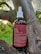 A brown glass bottle labeled 'kiara Pain Relief' is placed on a tree branch. The bottle has a white screw cap with a dropper. The label describes the contents as a full spectrum tincture, listing ingredients such as CBD and THC, along with usage instructions.