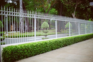 white wooden fence near green grass field