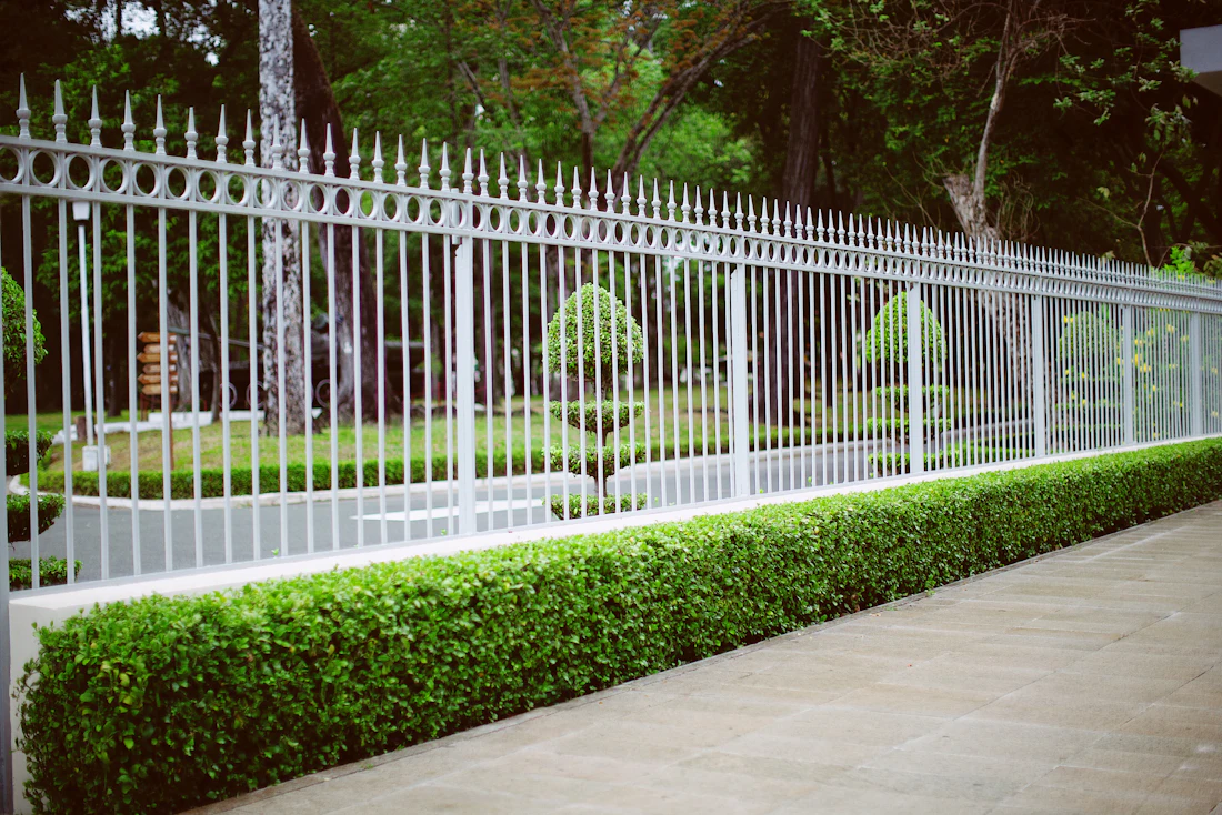 Three rail farm fence beside a green field