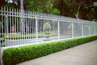 white wooden fence near green grass field