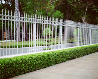 white wooden fence near green grass field