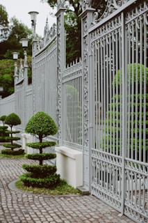 green plants on white concrete fence