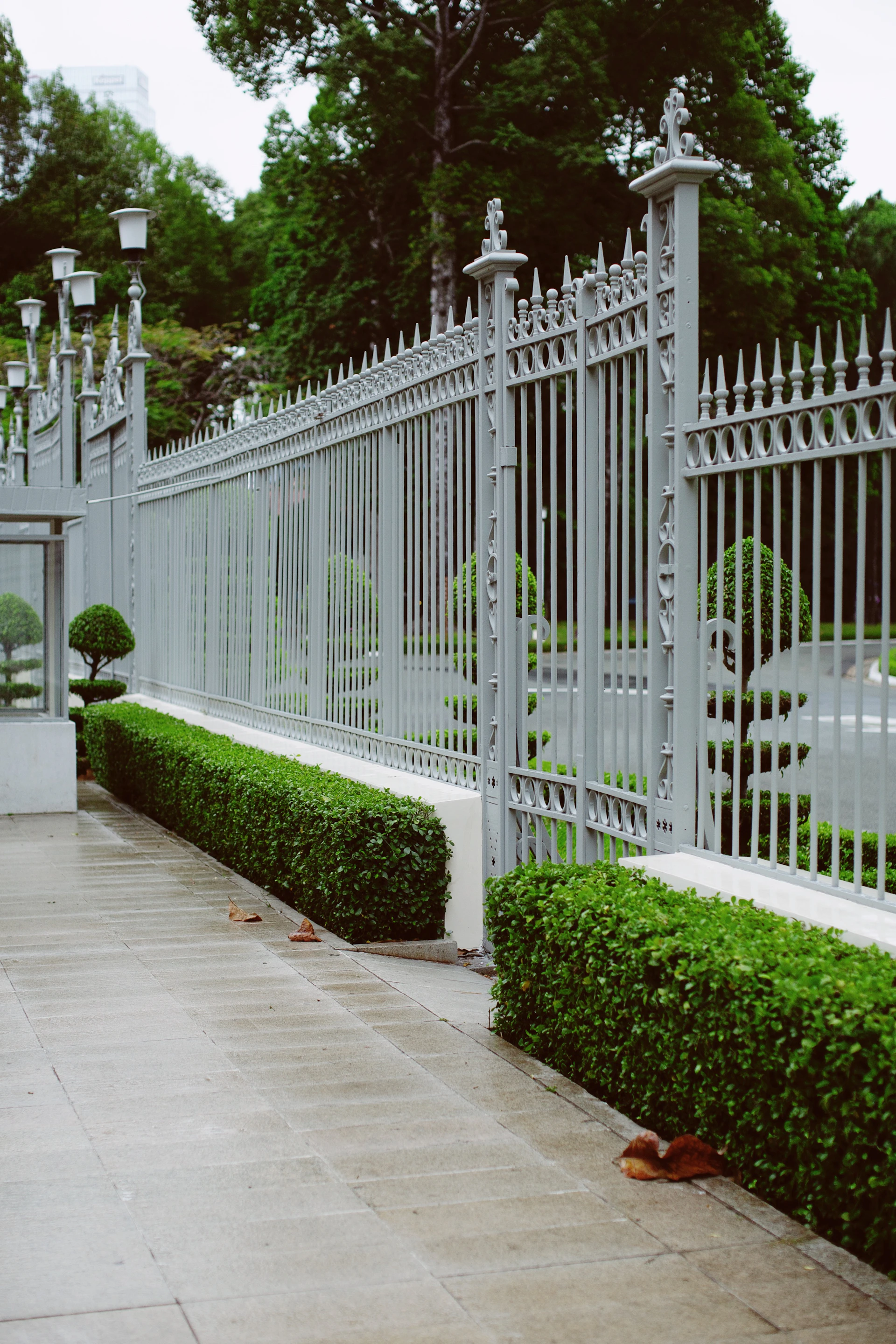 white wooden fence near green plants during daytime