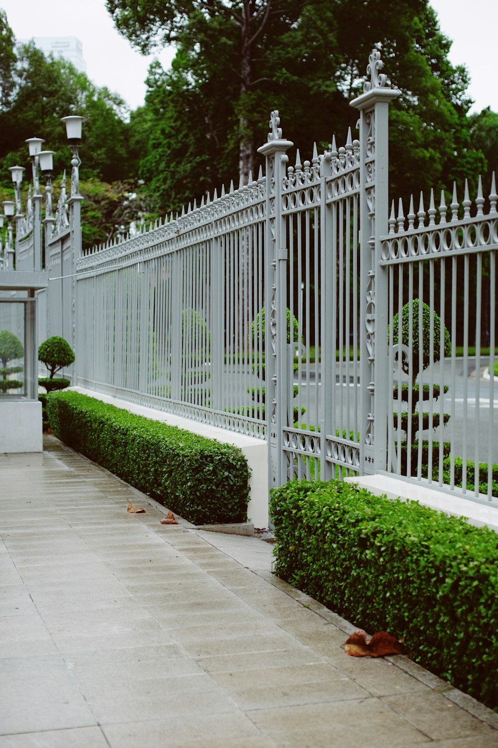 white wooden fence near green plants during daytime