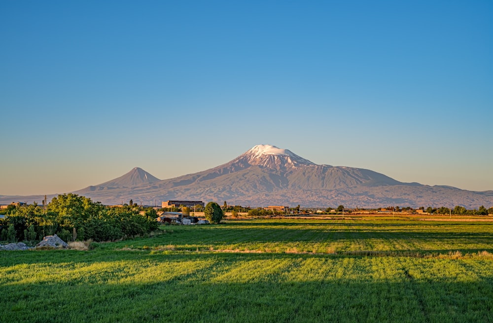 campo di erba verde vicino alla montagna sotto il cielo blu durante il giorno