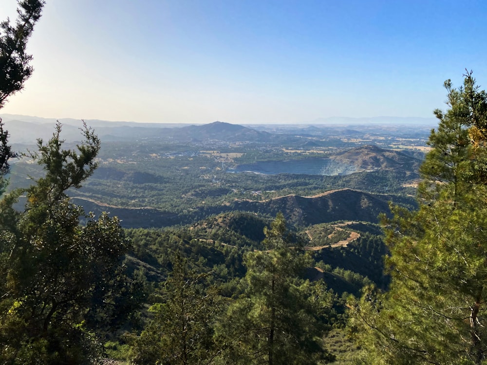 green trees on mountain under blue sky during daytime