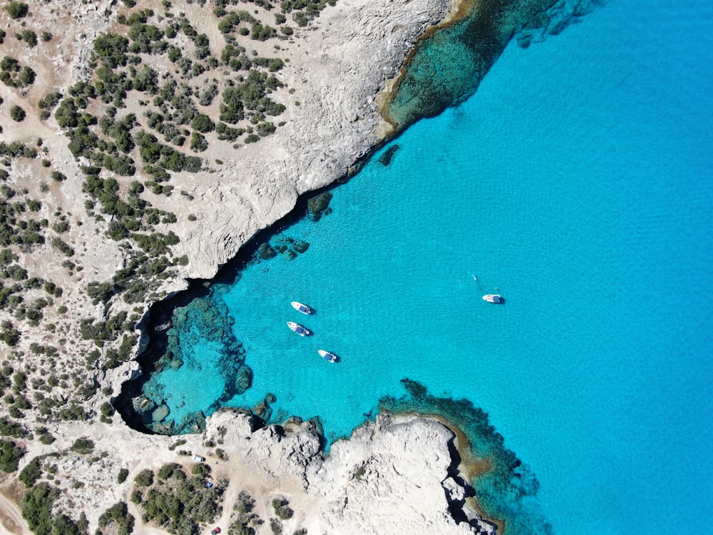 aerial view of beach during daytime