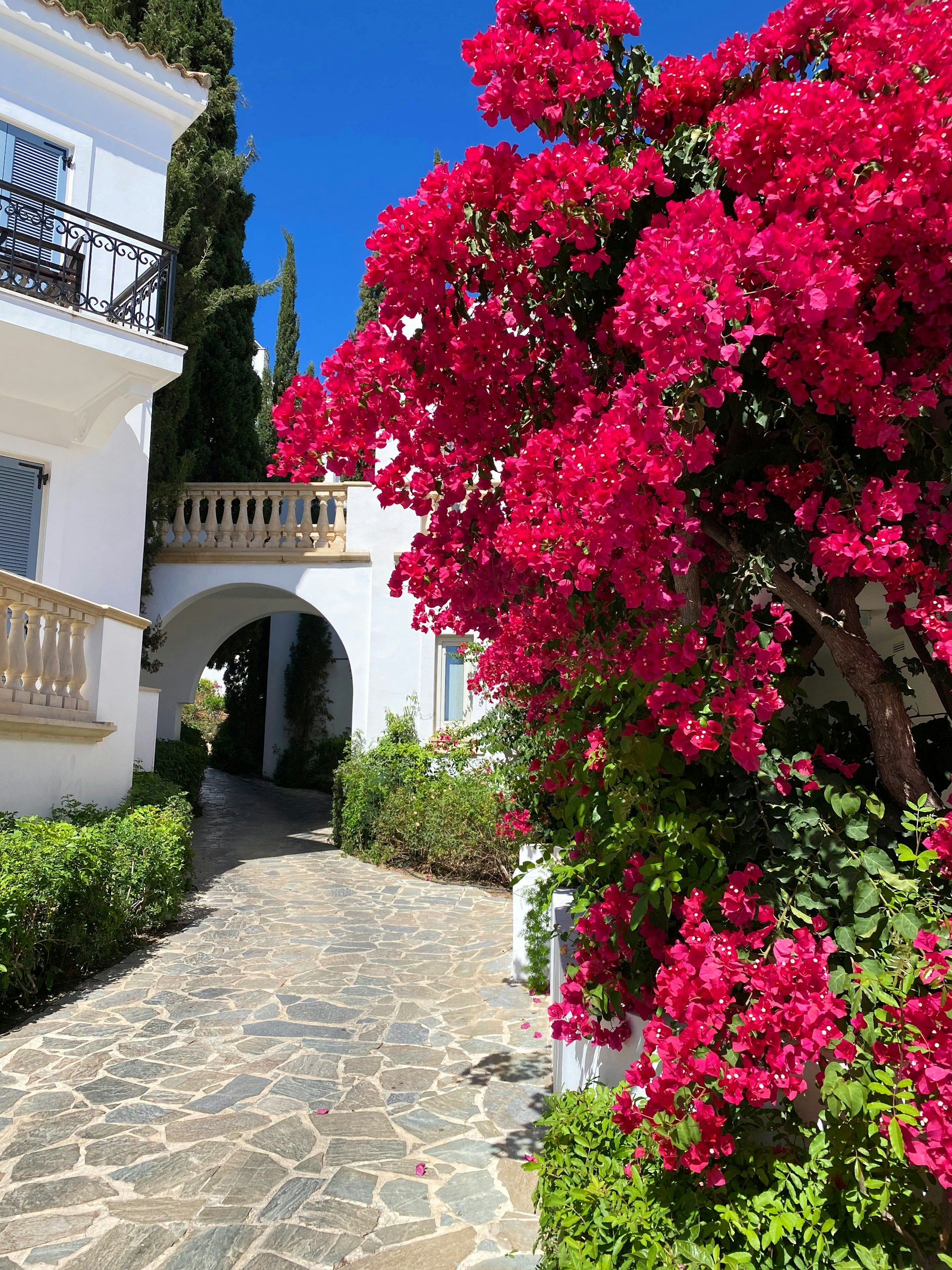 Charming stone pathway winding through vibrant bougainvillea leading to the villa’s entrance.