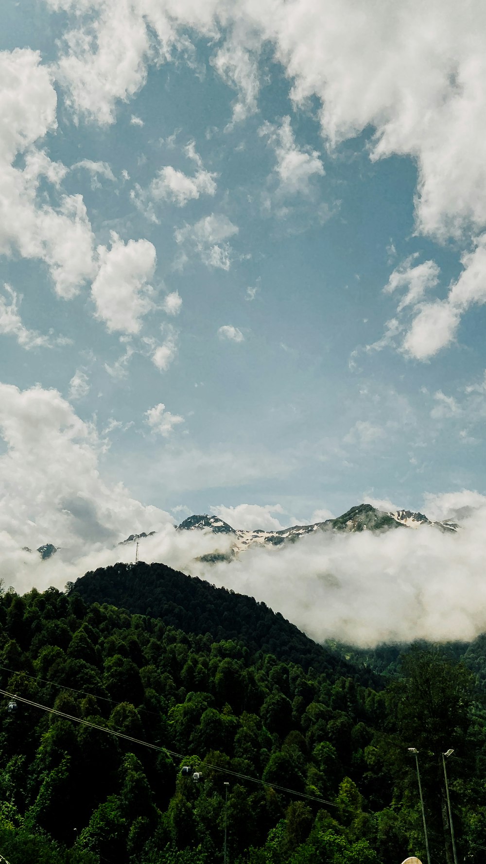 green trees on mountain under blue sky and white clouds during daytime