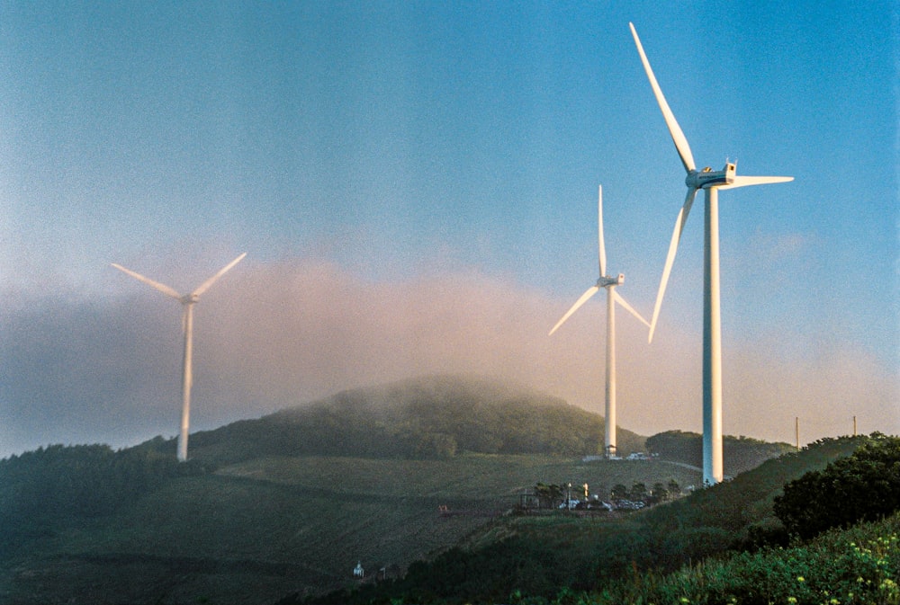 éoliennes blanches sur un champ d’herbe verte pendant la journée