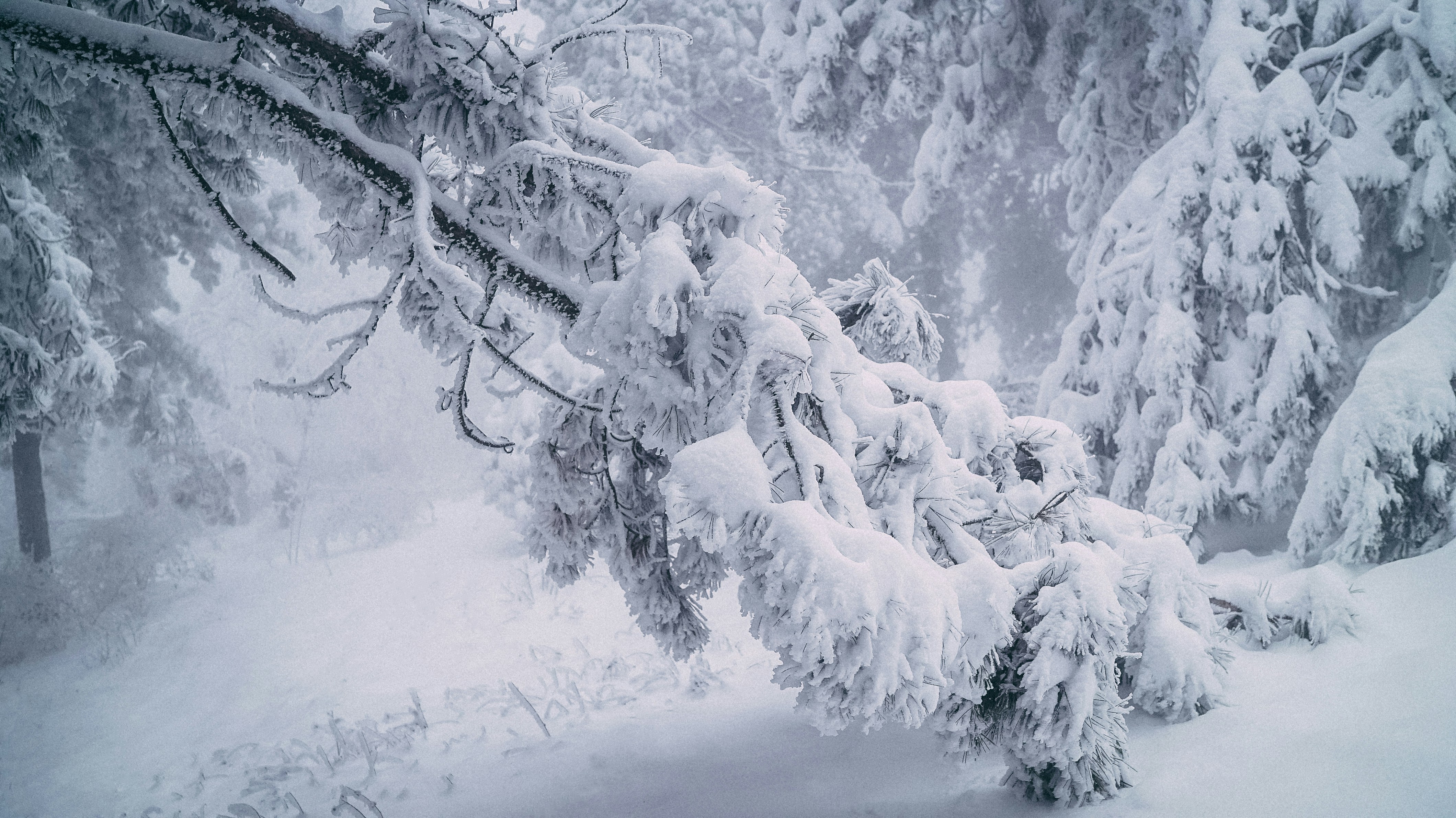 Photo by creative_films