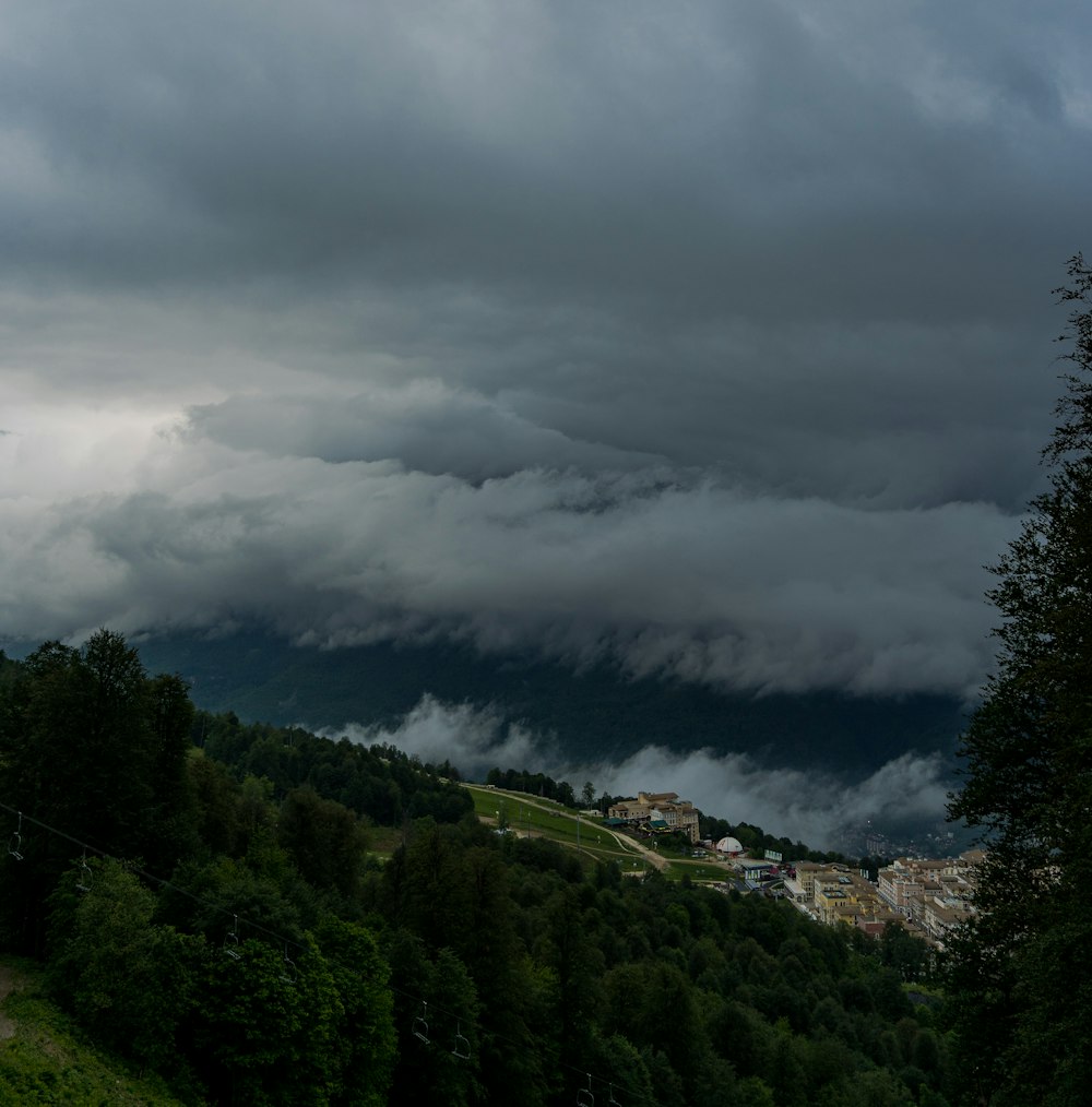 green trees under white clouds during daytime