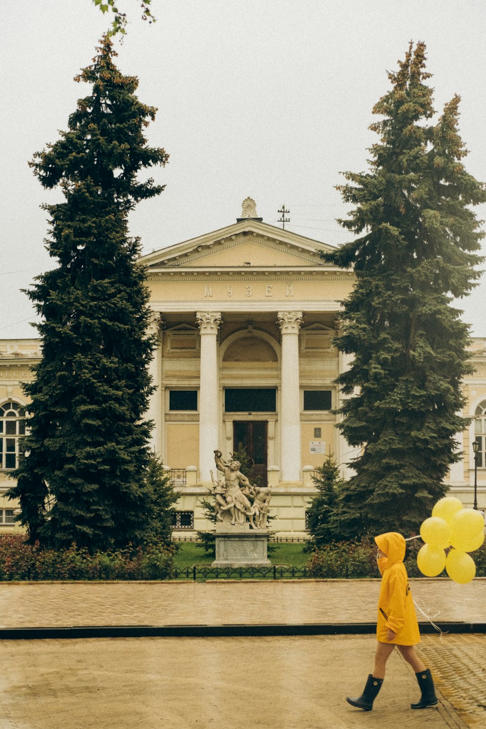 yellow flower in front of white concrete building