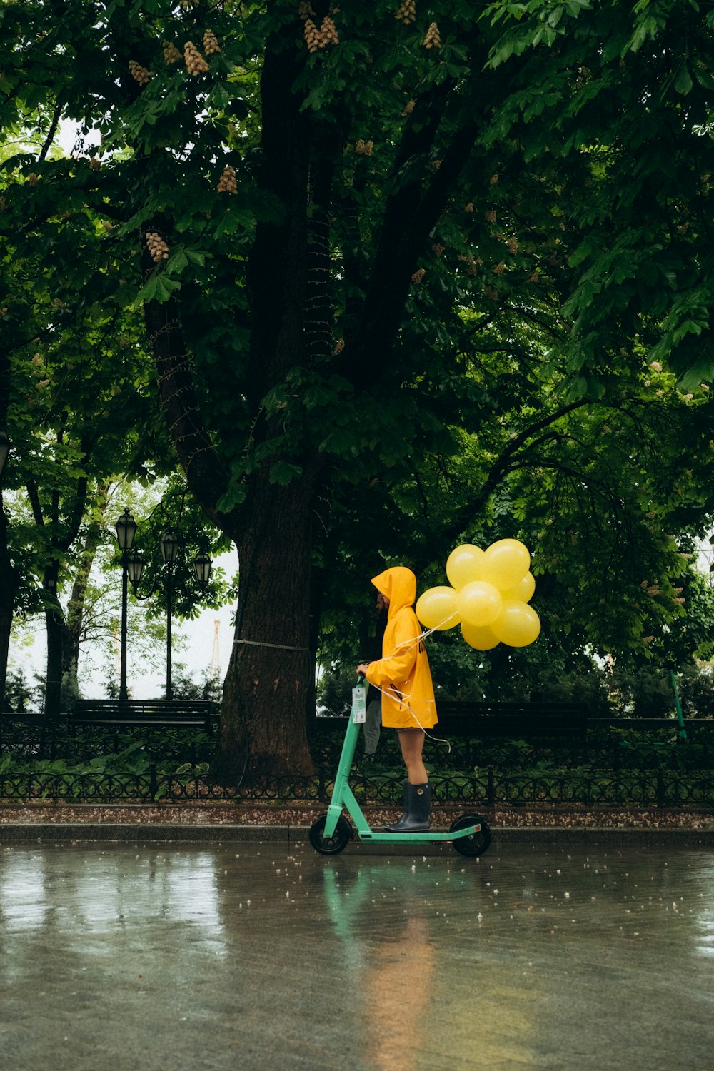 yellow and green bicycle with green leaves on it