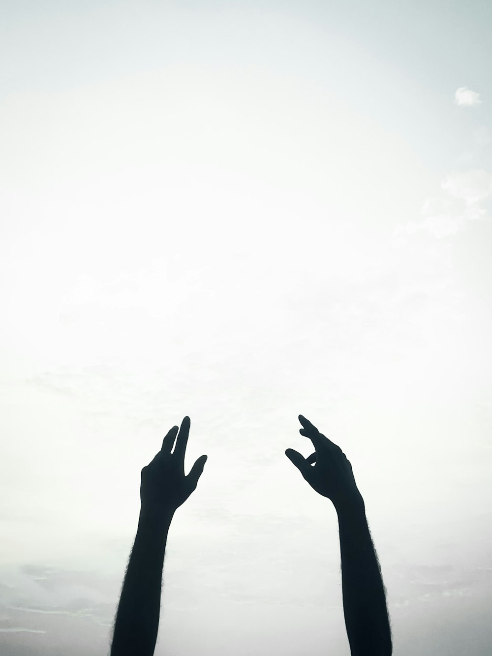 silhouette of persons hand