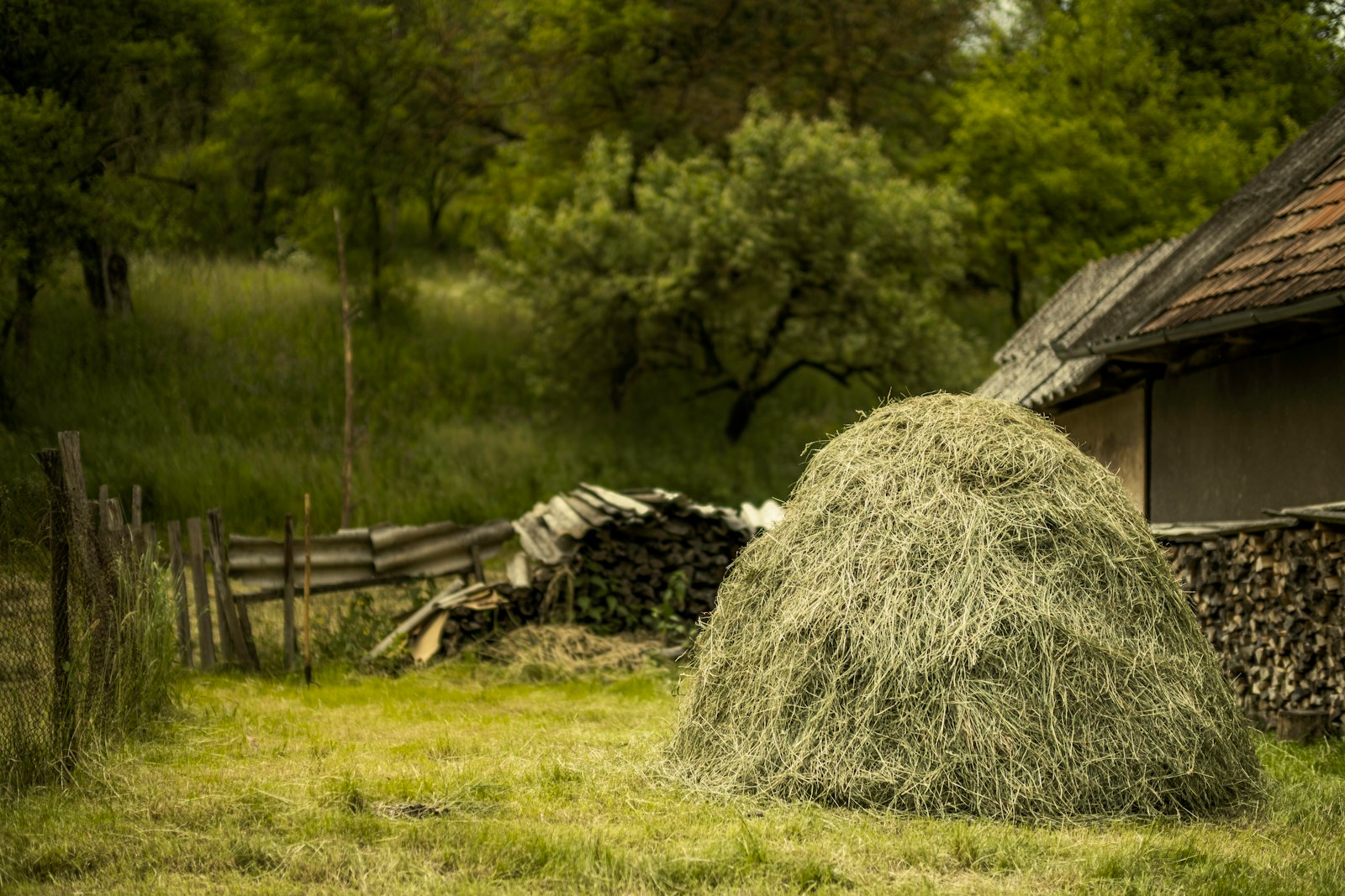 Make Hay While the Sun Shines