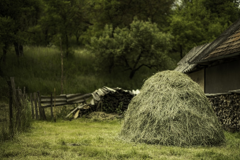 brown wooden fence on green grass field