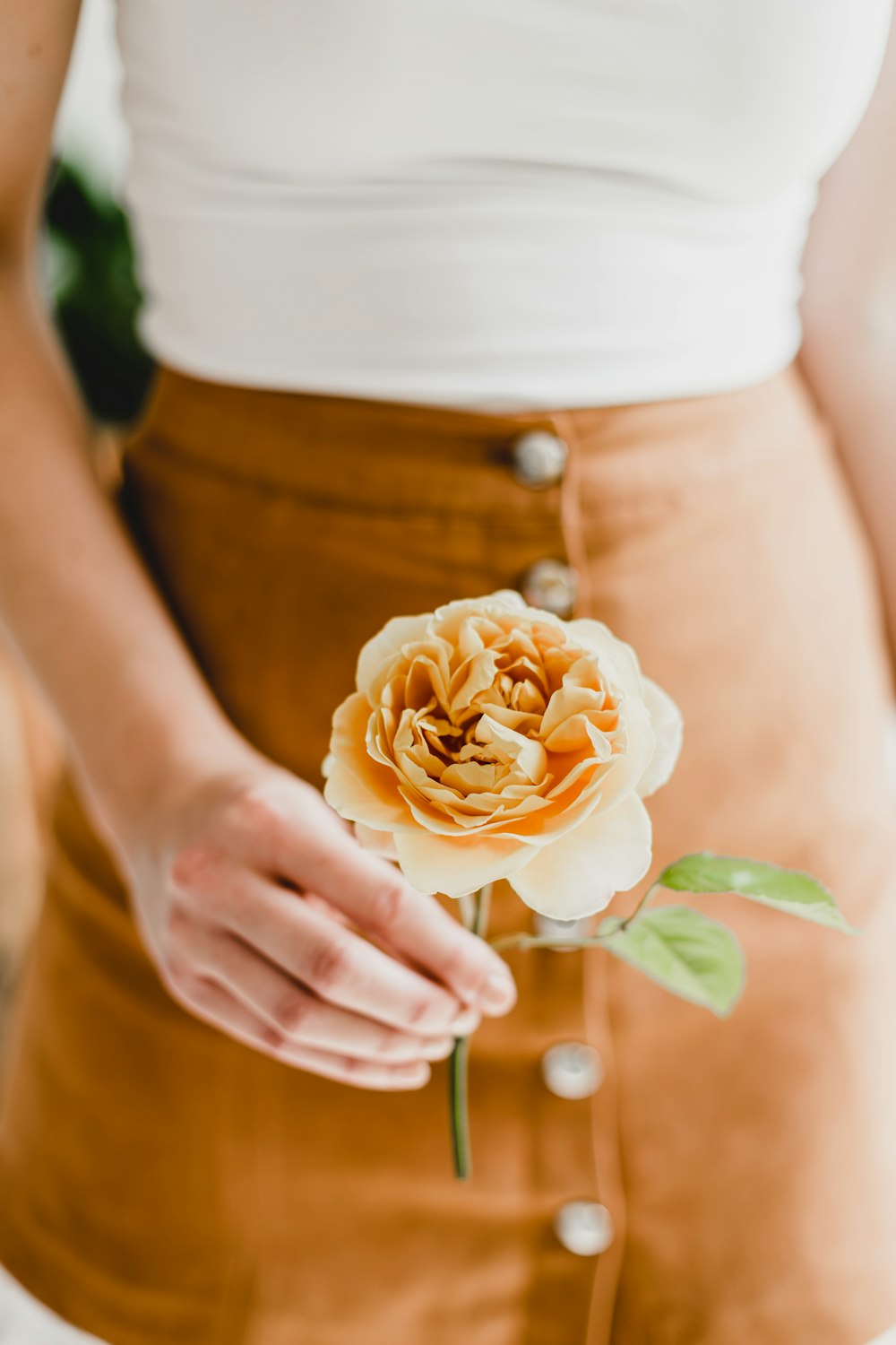 person holding white rose in close up photography