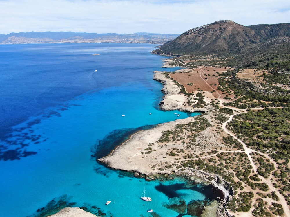 aerial view of island during daytime