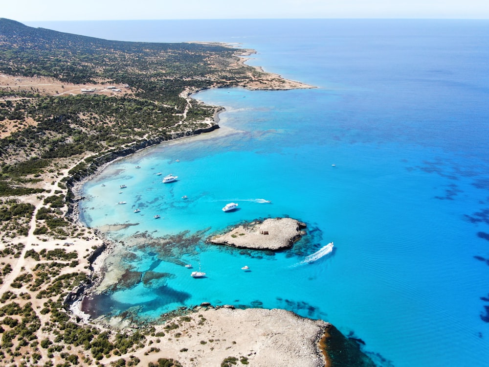 Vista aérea de árboles verdes y mar azul durante el día