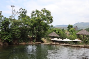 A tranquil outdoor setting featuring a natural pool surrounded by lush greenery and trees. Thatched umbrellas are positioned near the water's edge, and mountains can be seen in the background under a partly cloudy sky.