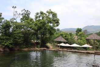 A tranquil outdoor setting featuring a natural pool surrounded by lush greenery and trees. Thatched umbrellas are positioned near the water's edge, and mountains can be seen in the background under a partly cloudy sky.