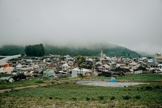 A village with numerous colorful houses nestled in a lush, green valley surrounded by hills. Mist hangs low over the hills, creating a serene and tranquil atmosphere. Various rooftops and a few towers can also be seen amid the dense arrangement of buildings.