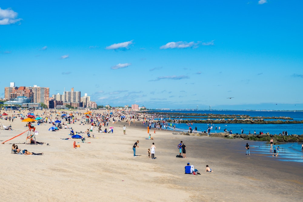 people on beach during daytime