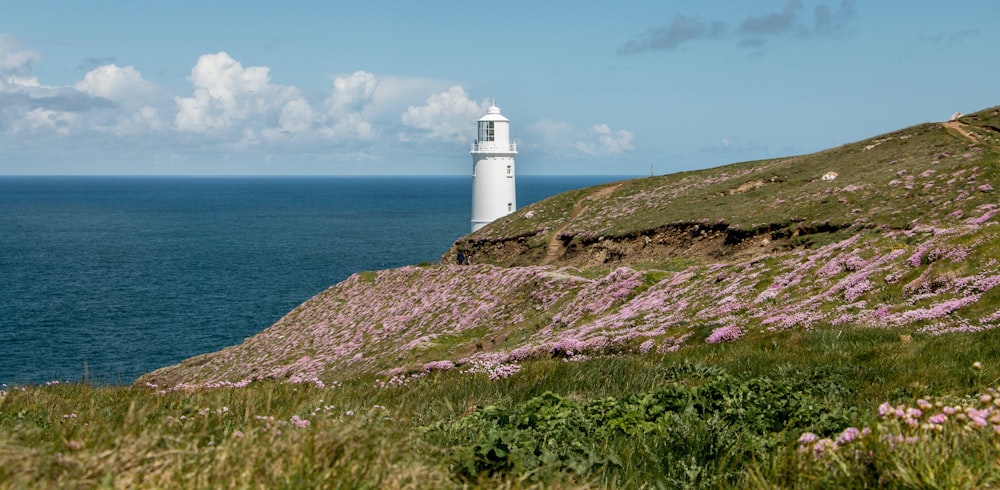 white lighthouse on green grass field near body of water during daytime