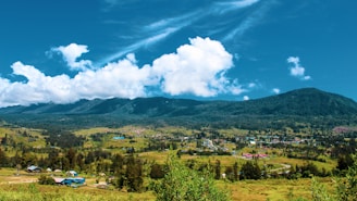 green trees and mountains under blue sky and white clouds during daytime
