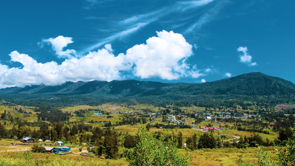 green trees and mountains under blue sky and white clouds during daytime