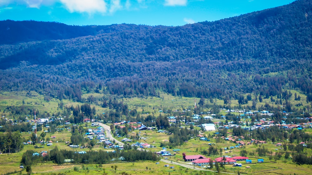 green trees and houses under blue sky during daytime