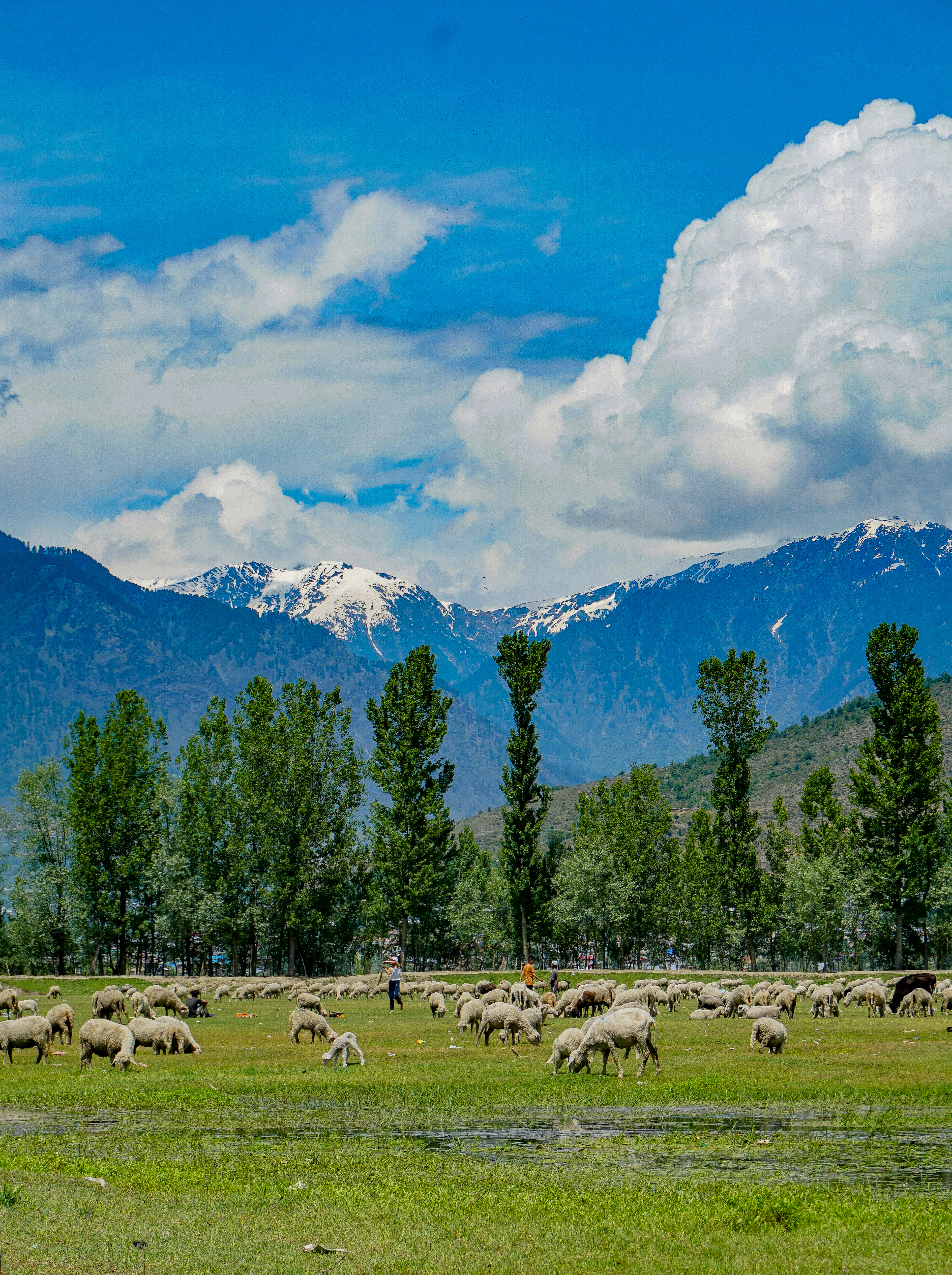 Doodhpathri Day Tour from Srinagar