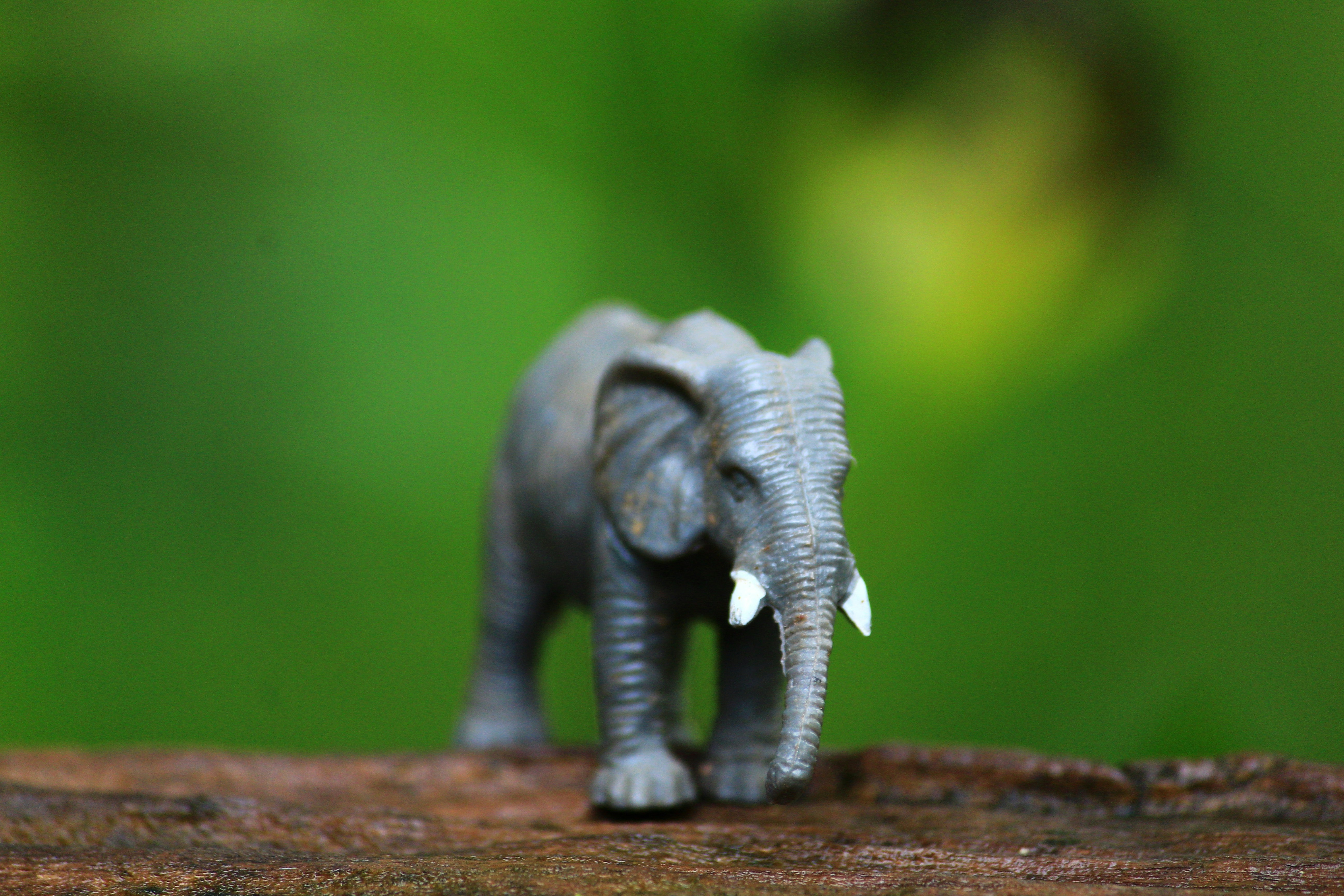 educational baby toy